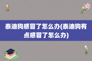 泰迪狗感冒了怎么办(泰迪狗有点感冒了怎么办)