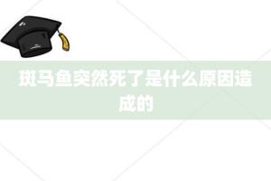 斑马鱼突然死了是什么原因造成的