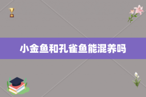 小金鱼和孔雀鱼能混养吗