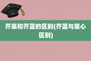 芥菜和芥蓝的区别(芥蓝与菜心区别)