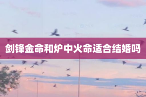 剑锋金命和炉中火命适合结婚吗
