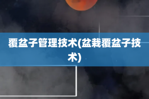 覆盆子管理技术(盆栽覆盆子技术)