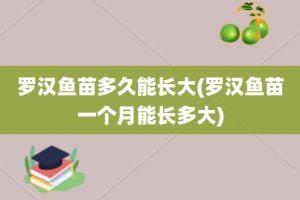 罗汉鱼苗多久能长大(罗汉鱼苗一个月能长多大)