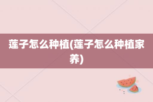 莲子怎么种植(莲子怎么种植家养)