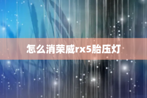 怎么消荣威rx5胎压灯