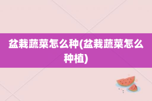 盆栽蔬菜怎么种(盆栽蔬菜怎么种植)