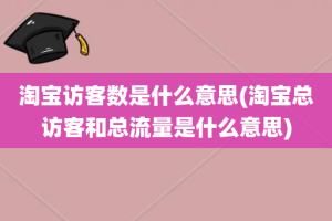 淘宝访客数是什么意思(淘宝总访客和总流量是什么意思)