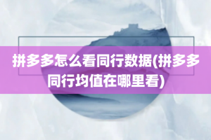 拼多多怎么看同行数据(拼多多同行均值在哪里看)