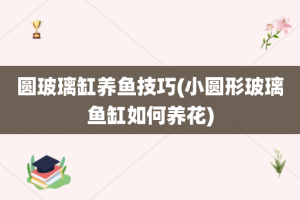 圆玻璃缸养鱼技巧(小圆形玻璃鱼缸如何养花)