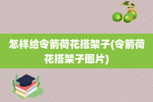 怎样给令箭荷花搭架子(令箭荷花搭架子图片)