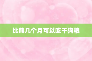 比熊几个月可以吃干狗粮