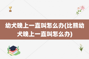 幼犬晚上一直叫怎么办(比熊幼犬晚上一直叫怎么办)