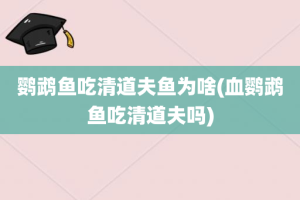 鹦鹉鱼吃清道夫鱼为啥(血鹦鹉鱼吃清道夫吗)