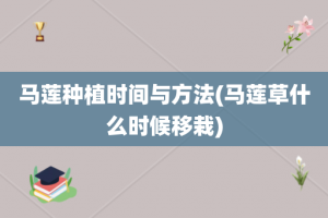 马莲种植时间与方法(马莲草什么时候移栽)