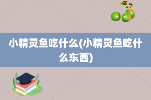 小精灵鱼吃什么(小精灵鱼吃什么东西)