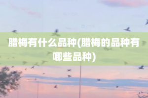 腊梅有什么品种(腊梅的品种有哪些品种)