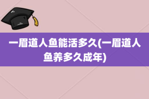 一眉道人鱼能活多久(一眉道人鱼养多久成年)