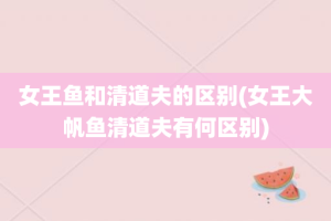 女王鱼和清道夫的区别(女王大帆鱼清道夫有何区别)