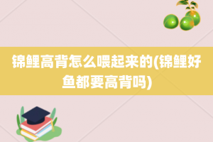 锦鲤高背怎么喂起来的(锦鲤好鱼都要高背吗)