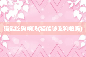 猫能吃狗粮吗(猫能够吃狗粮吗)