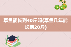 草鱼能长到40斤吗(草鱼几年能长到20斤)