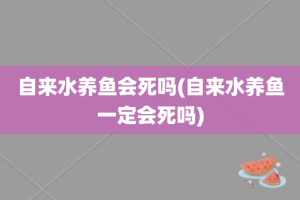 自来水养鱼会死吗(自来水养鱼一定会死吗)