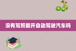 没有驾照能开自动驾驶汽车吗