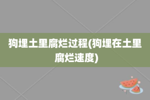 狗埋土里腐烂过程(狗埋在土里 腐烂速度)