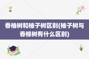 香柚树和柚子树区别(柚子树与香橼树有什么区别)