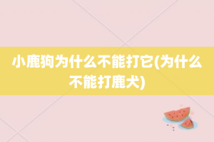 小鹿狗为什么不能打它(为什么不能打鹿犬)