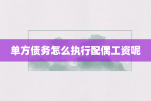 单方债务怎么执行配偶工资呢