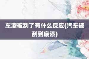 车漆被刮了有什么反应(汽车被刮到底漆)