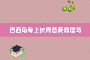 巴西龟身上长青苔要清理吗