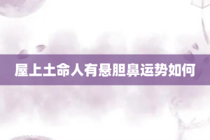 屋上土命人有悬胆鼻运势如何