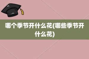 哪个季节开什么花(哪些季节开什么花)