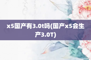 x5国产有3.0t吗(国产x5会生产3.0T)