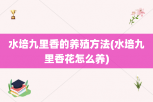 水培九里香的养殖方法(水培九里香花怎么养)