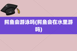 鳄鱼会游泳吗(鳄鱼会在水里游吗)