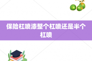 保险杠喷漆整个杠喷还是半个杠喷