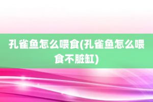 孔雀鱼怎么喂食(孔雀鱼怎么喂食不脏缸)