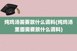 炖鸡汤需要放什么调料(炖鸡汤里面需要放什么调料)