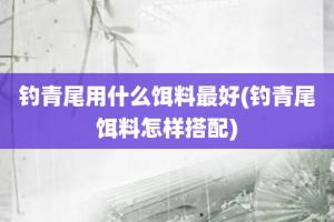 钓青尾用什么饵料最好(钓青尾饵料怎样搭配)