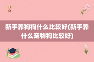 新手养狗狗什么比较好(新手养什么宠物狗比较好)