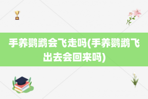 手养鹦鹉会飞走吗(手养鹦鹉飞出去会回来吗)