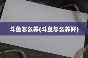 斗鱼怎么养(斗鱼怎么养好)