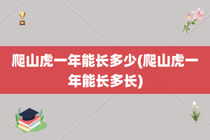 爬山虎一年能长多少(爬山虎一年能长多长)