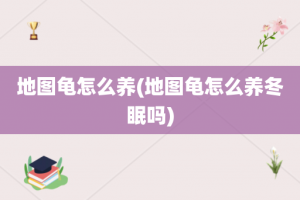 地图龟怎么养(地图龟怎么养冬眠吗)