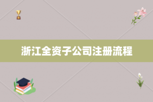浙江全资子公司注册流程