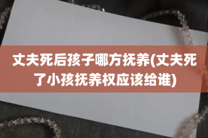 丈夫死后孩子哪方抚养(丈夫死了小孩抚养权应该给谁)