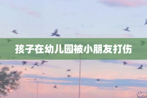 孩子在幼儿园被小朋友打伤